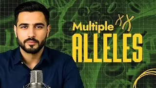 Multiple Alleles Explained | Human Blood Groups and Rh Factor