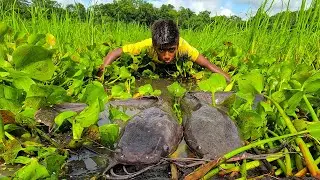 River Hand Fishing 2022- Traditional Boy Catch Monster Catfish By Hand In Big River Site
