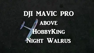 Mavic Pro | above HK Night Walrus RC airplane