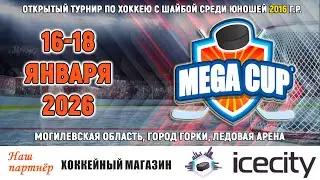 16.01.2026. MC 2016. Ice City &ndash; Экспресс