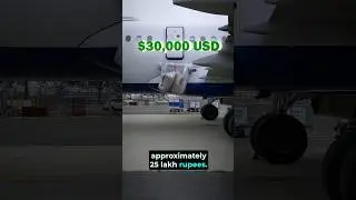 😱 This Airplane Slide Costs More Than Your House! 🏠✈️ #shorts
