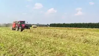 Supertino r170 top cut