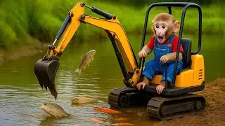 Monkey Nana Builds New Fish Ponds with Excavators | Coco Monkey Life 🐾🚜🐒