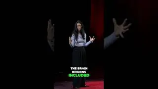 Unleashing the Power of Your Default Mode Network for Enhanced Focus and Creativity #tedtalk