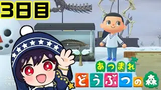 【#あつまれどうぶつの森 】アプデきたから新生活始める#3　【星空ナツ/Vtuber】