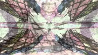 Maui Mallard Remix - Disney Video Mash