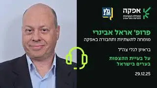 פרופ' אראל אבינרי, מומחה לתשתיות ותחבורה באפקה | על בעיית ההצפות בערי ישראל