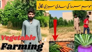 Aj Sardiyan Di Sbzi Lgaai 🥬 | Pind Wali Zindagi Vlog | Daily Routine Vlog Punjabi