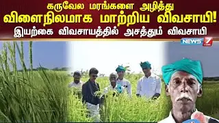 கருவேல மரங்களை அழித்து விளைநிலமாக மாற்றிய விவசாயி NEWS7 TAMIL