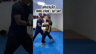 EXPLICANDO COMO FUNCIONA A T&Eacute;CNICA JUT SAU #wingchun #kungfu #jutsau #treino #mma #artesmarciais