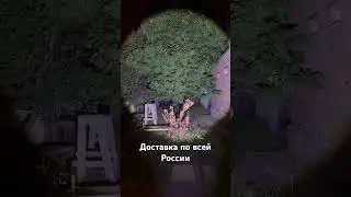 🏷️ 2.500₽ 8-988-228-74-53