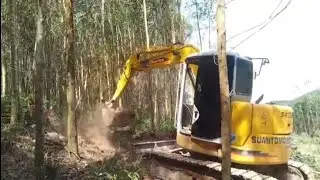 Another harvest of acacia plantation part 1. Excavators bulldoze soil and trees to make roads