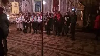 Діловецькі бетлегеми на осоночному 2018рік