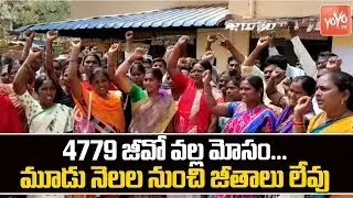 Field Assistants Strike at Kodad RDO Office in Suryapet District | Telangana News | YOYO TV NEWS