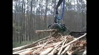 Mechanical acacia debarking harvester in Brazilia