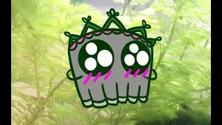 🌲Grave Buster Fish ?🧠
