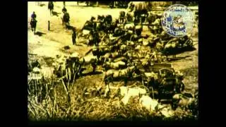 Oklahoma:A Past Preserved. 1975