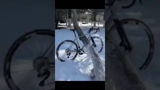 Hilarious Moments That Will Make Your Day #twist #comedy #funny #humor #laugh