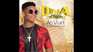 Hit Das Novinhas - DNA do Pagode