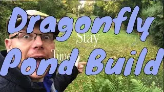 Dragonfly Pond Build 1, How to build a Pond - Dragonflies UK
