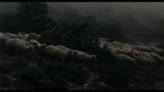 Pastori Di Orgosolo 