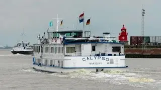 rivercruiser CALYPSO PD3667 Flusskreuzfahrer Emden Kreuzfahrtschiff river cruiseliner  244690027