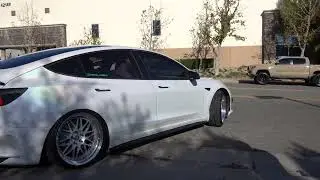 Slammed Teslas mobbin out
