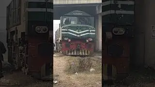 Live Chinese Locomotive Zcu going back towards loco shed after completing journey #live #shorts #yt