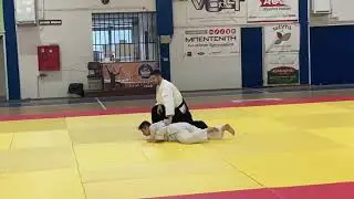 Nikos HOLEVAS Sensei 4th DAN