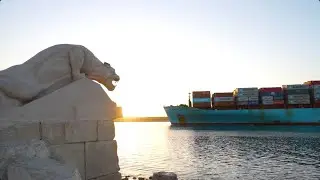 عبور سفينة الحاويات MAERSK SEBAROK للقناة ضمن قافلة الجنوب بعد عبورها من باب المندب 