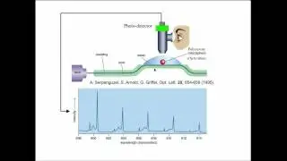 1. Whispering Gallery Mode Biosensor Early History (1994-2002)