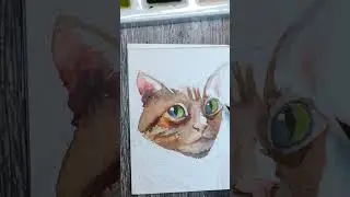 #tiny painting Watercolour cat portrait ACEO miniature relaxing #art watercolor process #shorts