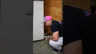 Sticky traps are the best way to make sure you never get an infestation of cockroaches or any other