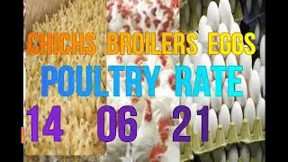 14 06 2021 | indian broiler rate | indian egg rate | broiler rate| chicks rate |indian poultry rate