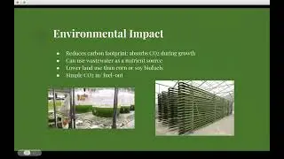Actual Biofuel Project