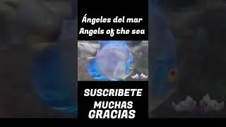 &Aacute;ngeles  del mar m&uacute;sica AVELA MUCHAS GRACIAS