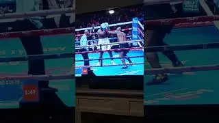 Toupee Fell Off #boxing #shorts #short #live