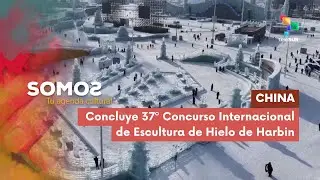SOMOS | China | Concluye 37&ordm; Concurso Internacional de Escultura de Hielo de Harbin 20-01-2026