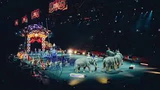 Circus - Words And Music By Janice Zamb/Ian Haydn Cox