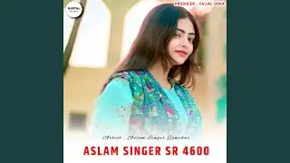 Aslam Singer SR 4600