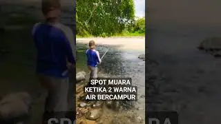 #mancing #mancingmelem #mancingsungai #shots #short #shortvideo