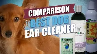 Best Dog Ear Cleaner Comparison and Testing (2018)