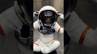 Astronaut monkey trick