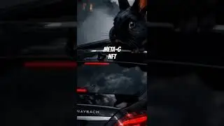 Maybach Rabbit #trending #viral #new #maybach #rabbit #nft #metag #metaphor #genius