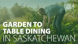 Saskatchewan Food Worth Travelling For | Mabel Hill Farm Kitchen & Marketplace