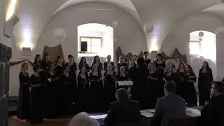 MSFHR 2019 soutěžn&iacute; přehl&iacute;dka VOX NOVUS Česk&eacute; Budějovice