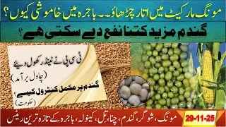 Today rice export Pak to Bangladesh | Wheat price today | Wheat profits chance | Bajra rate | moong