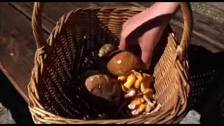 Alla scoperta delle bellezze di GALLIO - Altopiano di Asiago