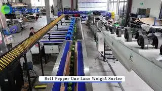 What's Your Need?We have your bell pepper grading solution!🌶️ ⚡️💯