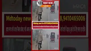 Shorts: Cobra spotted near Hayat Nagar police station, chaos ensues; spotted on the road between ...